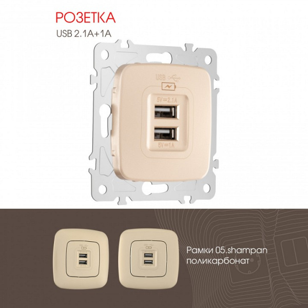 Розетка USB без рамки Arte Milano am-205 205.46-1.shampan