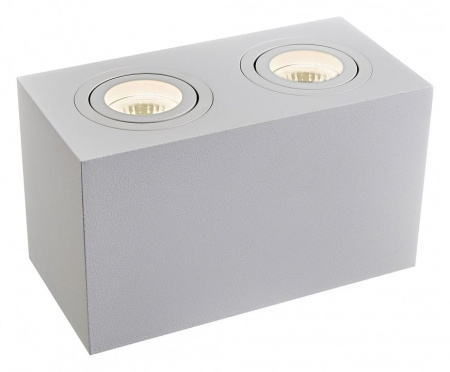 Накладной светильник Maytoni Technical Атом C017CL-02W