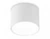 Накладной светильник Ambrella Light TN TN52881