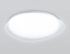 Накладной светильник Ambrella Light ORBITAL FZ1605