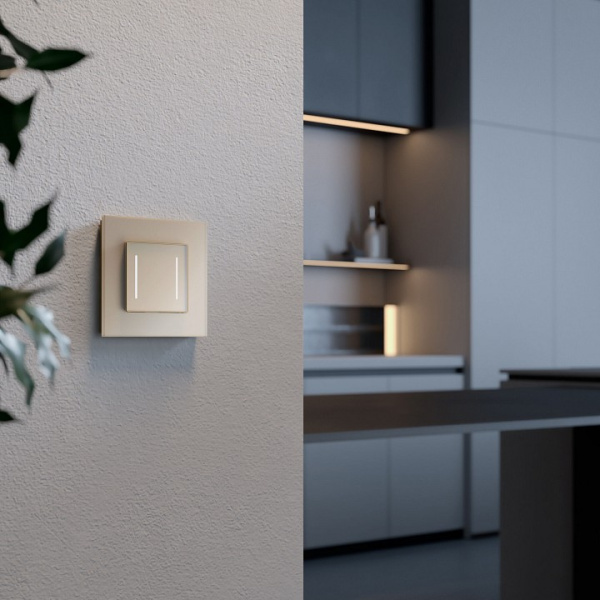 Рамка на 1 пост Werkel Senso (шампань стекло soft-touch) W0013111