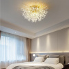 Потолочная люстра Imperiumloft  rosalia-ch01