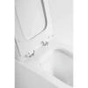Приставной безободковый унитаз BelBagno Ardente-R BB003CBR