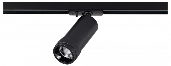 Светильник на штанге ST-Luce BASE ST385.446.20