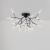 Потолочная люстра Freya Iris FR5067CL-27B