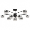 Люстра на штанге Lumion NATALINA 8349/10C