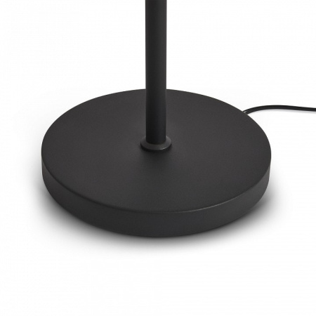 Торшер Freya Aqua FR5553FL-L20B