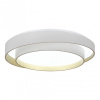 Накладной светильник EVOLUCE Crosby SLE6009-502-01