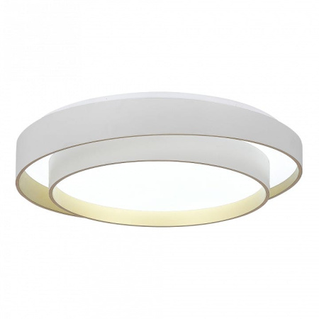 Накладной светильник EVOLUCE Crosby SLE6009-502-01