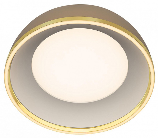 Накладной светильник Citilux FLOOM CL736152