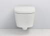 Унитаз-биде Roca Inspira in-wash 803060001