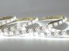 Лента светодиодная LEDS POWER  009933