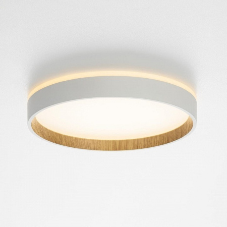 Накладной светильник Citilux Etalon CL750240