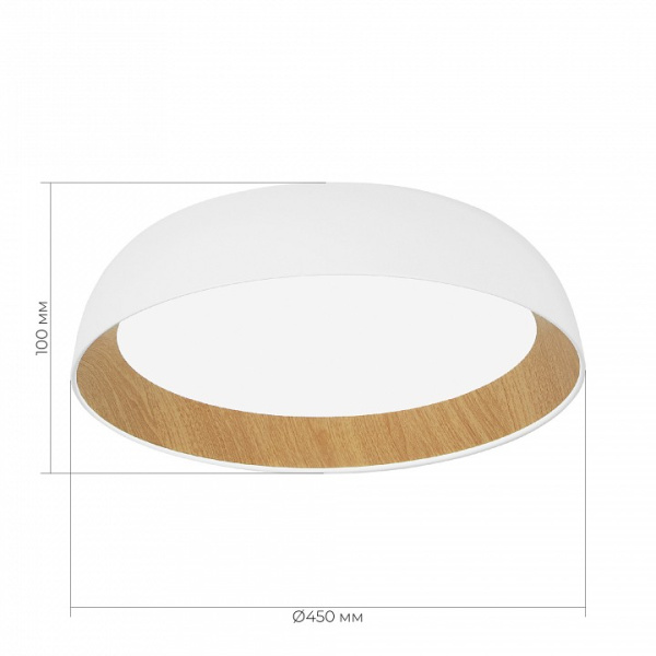 Накладной светильник EVOLUCE MUSE SLE1812-502-01