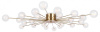 Потолочная люстра Freya Celebrity FR5242CL-24BS1