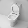 Унитаз AM.PM Sunny C85C8600SC с крышкой-сиденьем