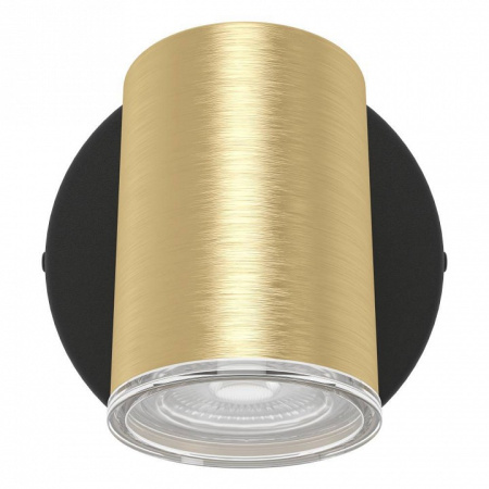 Спот Eglo CONSUMA 1 300583