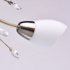 Потолочная люстра MW-Light Нежность 7 356015308