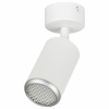 Спот Эра  OL55 WH/SL