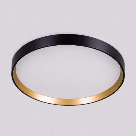 Накладной светильник Citilux ETALON CL750321R