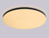 Накладной светильник Ambrella Light FZ FZ2006