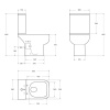 Чаша унитаза BelBagno Aurora BB8604CPR/SC с сиденьем