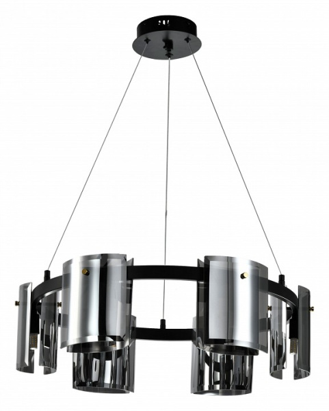 Подвесная люстра Zortes Rony ZRS.1209.06