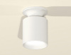 Накладной светильник Ambrella Light XS XS6301100