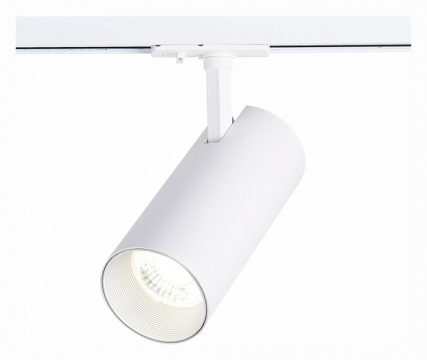 Светильник на штанге ST-Luce Mono ST350.546.30.36