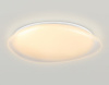 Накладной светильник Ambrella Light ORBITAL FZ1615