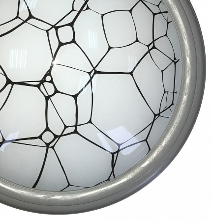 Накладной светильник TopLight Ophelia TL1125-1Y