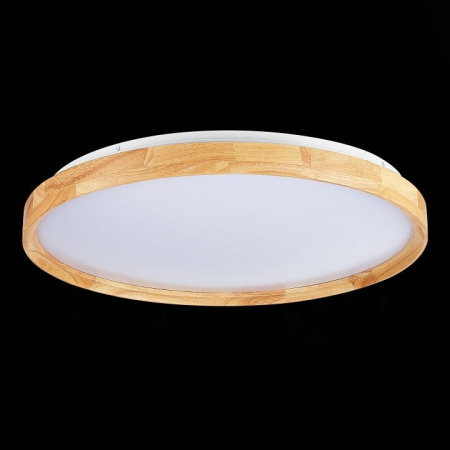 Накладной светильник EVOLUCE DELIA SLE201382-01