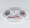 Лента светодиодная DesignLed DSG560 00-00000521