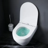 Подвесной унитаз AM.PM Spirit 2.0 C701700WH безободковый