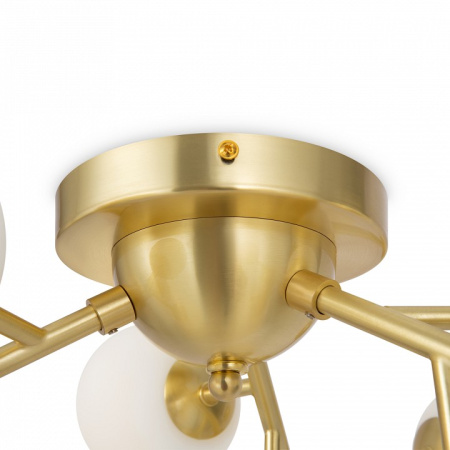 Потолочная люстра Maytoni Даллас MOD545CL-12BS