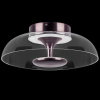 Накладной светильник Lightstar Celesta 809200