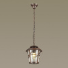 Подвесной светильник Odeon Light Aletti 4052/1