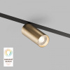 Светильник на штанге Denkirs Smart DK8020-BG
