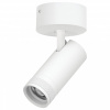 Спот Lightstar Canno Pro C4206SO