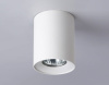 Накладной светильник Ambrella Light TN TN213136