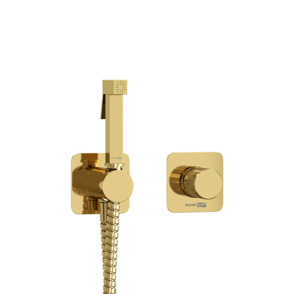 Душевой комплект WasserKRAFT Ems A7651.280.238.216 золото