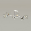 Люстра на штанге Lumion Alana 4517/6C
