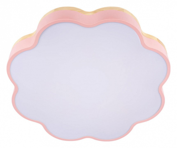 Накладной светильник Loft it Axel 10225/36 Pink