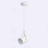 Подвесной светильник Ambrella Light TR TR8205