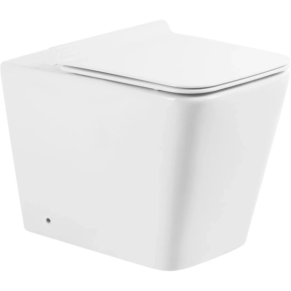 Приставной безободковый унитаз BelBagno Ardente-R BB003CBR