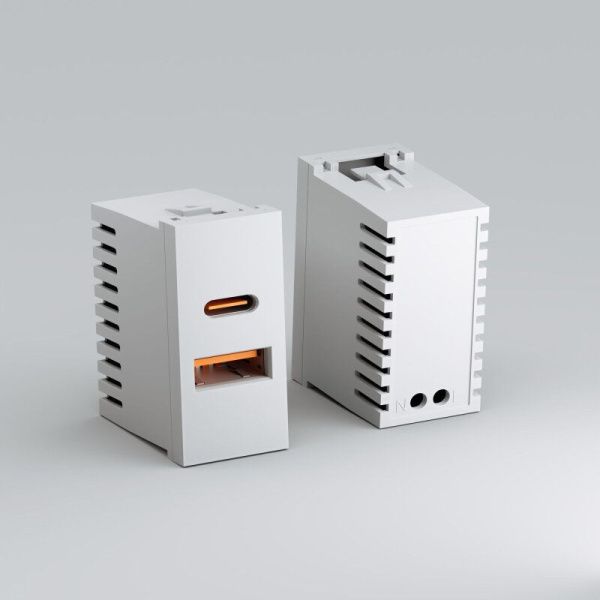 Розетка 2хUSB type A и C без рамки Werkel  W1272701