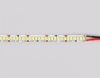 Лента светодиодная Ambrella Light GS GS3401