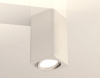 Накладной светильник Ambrella Light XS XS7820010