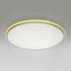 Накладной светильник Citilux NORMA CL749600
