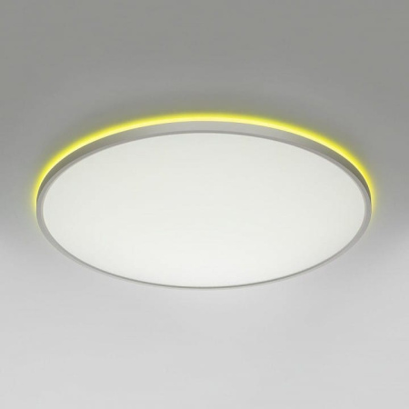 Накладной светильник Citilux NORMA CL749600